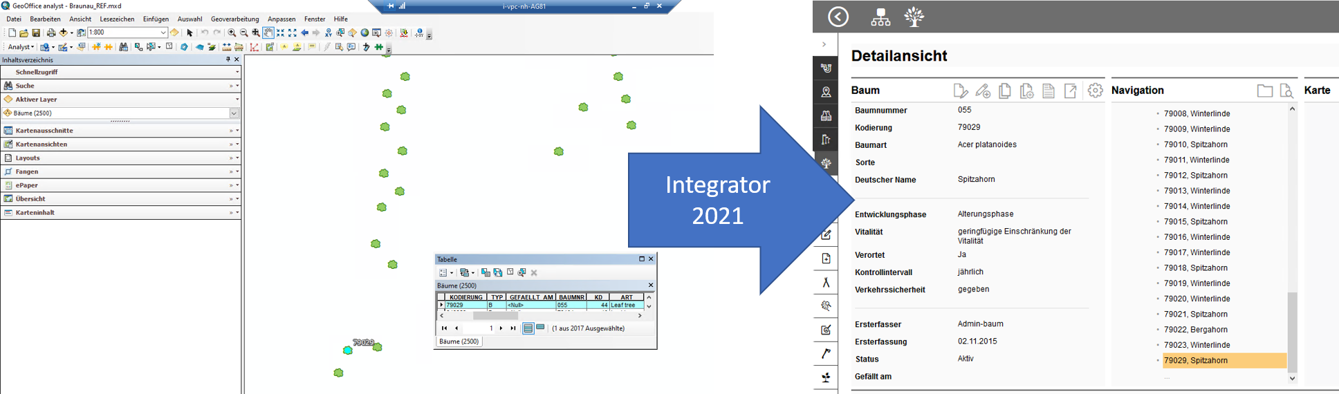 Sprung_analyst_proOffice