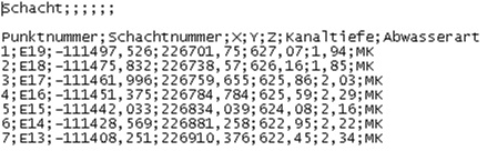 Importdatei mit Ascii Editor geöffnet