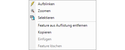 Kontextmenü Feature Fenster: Einzelfeature