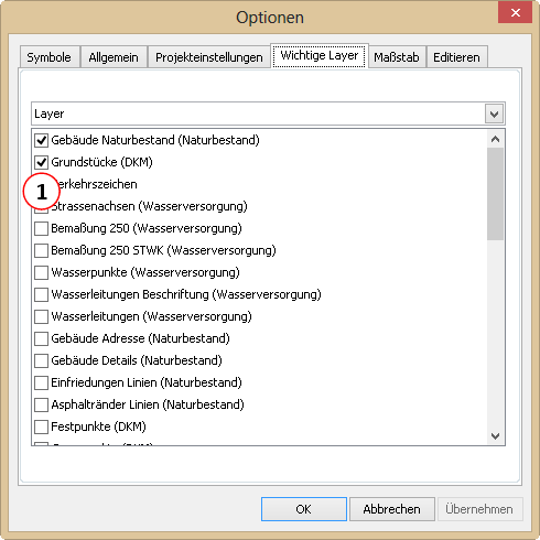 Optionen - Wichtige Layer